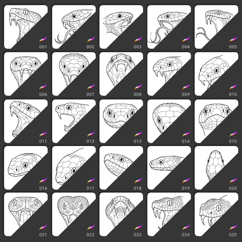 Procreate snake head brushes and skull stamps for tattoo design - InkRef digital stencil pack.