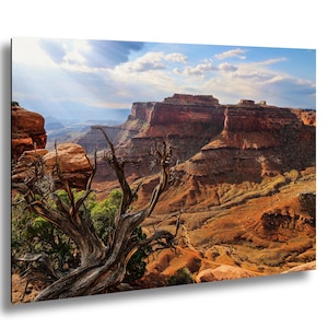 Canyonlands sunrise with Sun Beams – National Park, Utah, light rays, rustic wall art, office decor, bedroom decor, Photography Print