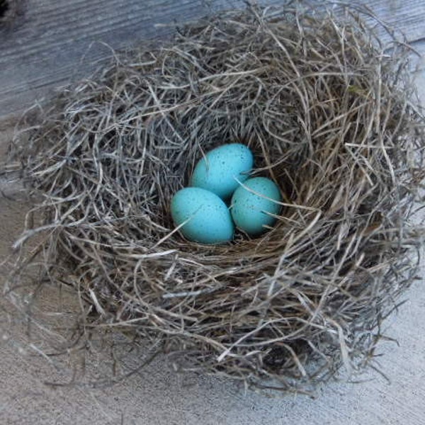 Shabby Rustic Handmade Bird Nest with Turquoise Robin's Eggs Woodland Decor AMarigoldLife