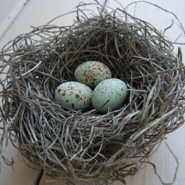 Shabby Chic Handmade Bird Nest with Pale Blue Green Crow's Eggs