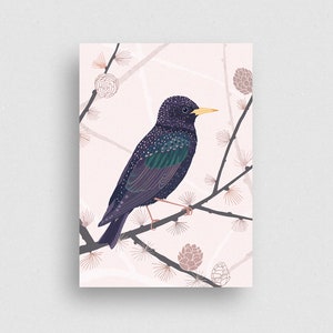 Postcard | Starling | 100% Ecofriendly