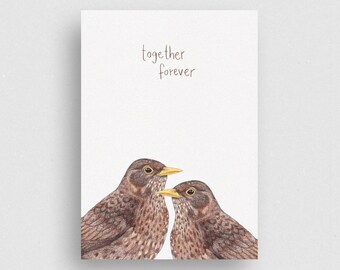 Postcard | Amselpaar | Weibchen | 100% Ecofriendly
