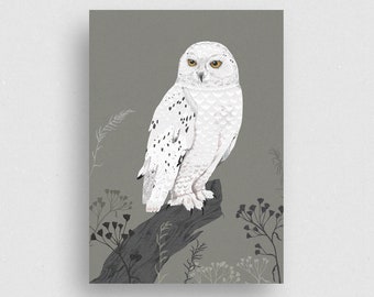 Postcard | Schnee-Eule | Ecofriendly - 100% Recycled paper