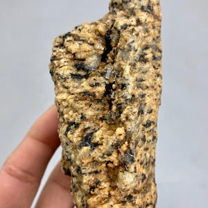 May include: A rough-textured, natural stone specimen with a mix of tan, black, and clear crystalline inclusions. The rock has a rugged, uneven surface, showcasing its raw, unpolished state. The stone is held in a hand, highlighting its size and texture.