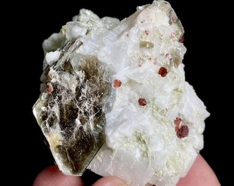 Etched Spessartine Garnet with Mica Crystal, Pakistan Mineral Specimen
