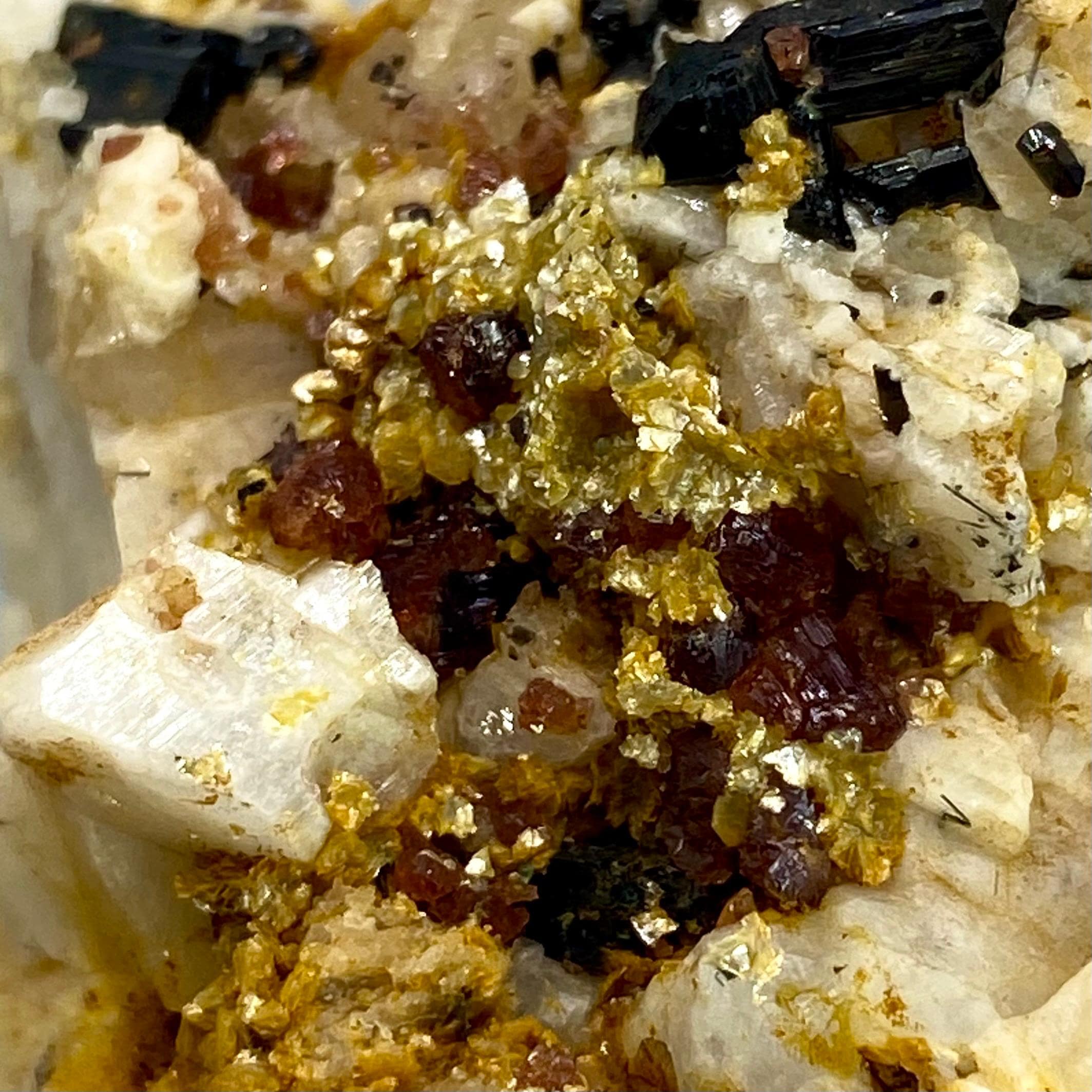 Etched Spessartine Garnet With Schorl & Albite Crystal Matrix