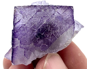 May include: A close-up of a purple fluorite crystal cluster. The crystal has a square shape with a grid-like pattern on its surface. The color transitions from a deep purple to a lighter, translucent hue at the edges. The crystal is held by a person's fingers.