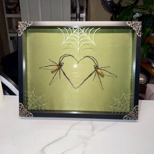 May include: A framed artwork featuring two spiders forming a heart shape, set against a light green background. The frame is black with ornate silver corner accents and white spider web designs. The spiders have yellow and black bodies.