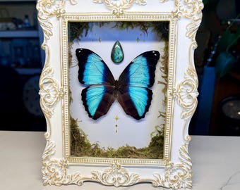 Blue Morpho Butterfly Shadow Box | Real Butterfly Art | Labradorite Crystal Decor | Gothic Nature Frame | Entomology Wall Art