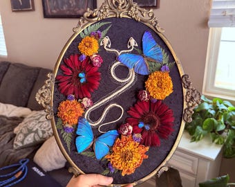 Two Headed Snake Skeleton Shadow Box | Morpho Adonis Butterflies | Vintage Bubble Glass Frame | Oddities Decor | Entomology Art