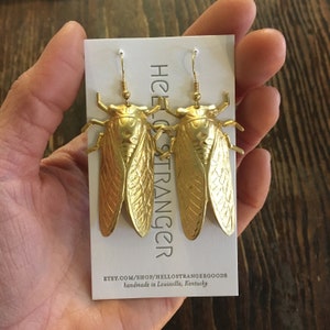 Handmade giant cicada Earrings // made in USA // gold plated ear wires // bug insect entomologist entomology image 2