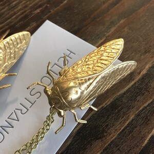 May include: A gold-toned cicada pendant necklace. The cicada is detailed with textured wings and a body.