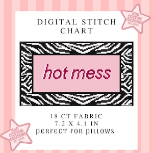 Zebra Print 'Hot Mess' Needlepoint Pattern | 18 CT Pillow Design (PDF Download)