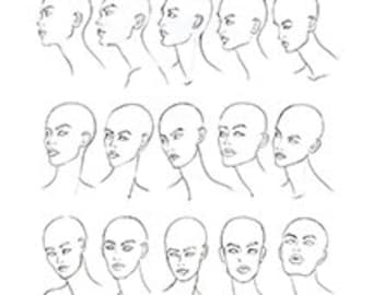 May include: A series of 15 line drawings of a woman's head in profile, showing different angles of the head and neck. The drawings are simple and stylized, with a focus on the shape of the head and the flow of the lines.