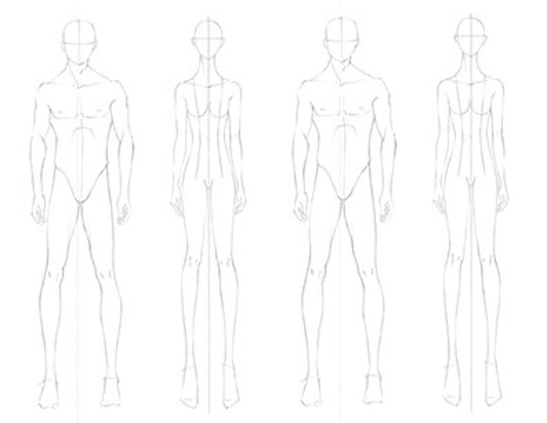 Op de afbeelding: Vier eenvoudige lijntekeningen van menselijke figuren, twee mannelijke en twee vrouwelijke, die in een rij staan. De figuren zijn op een eenvoudige manier getekend, zonder details zoals kleding of gezichtskenmerken.