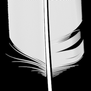 May include: A close-up of a white feather with a black background. The feather has a central shaft and a series of barbs that create a delicate, intricate pattern.