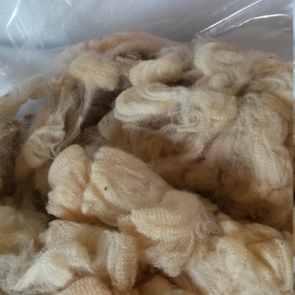 Pieces of Fleeces - 1/4 lb bags of Cormo and Cormo x Rambouillet Fleeces for spinning, felting or other crafts!