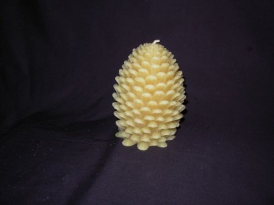 Beeswax Pine Cone Candle - Etsy