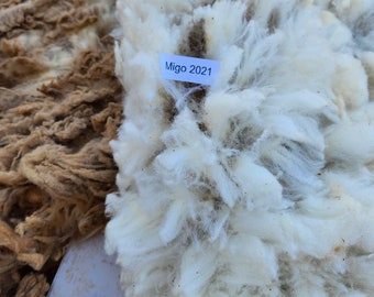 Cormo Fleece,  (Migo 2021) Raw Unwashed Purebred Cormo