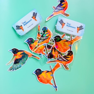 Pacote de adesivos Fly High Orioles | Ótimo presente para observadores de pássaros | Perfeito para diários de recortes, artigos de papelaria e presentes!