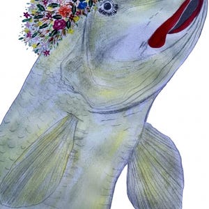 Beauty Is More Than Fin Deep