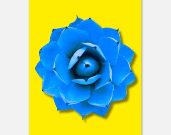 Splendido poster artistico Agave Victoriae-Reginae - Stampa giclée blu brillante e gialla - Decorazione murale perfetta