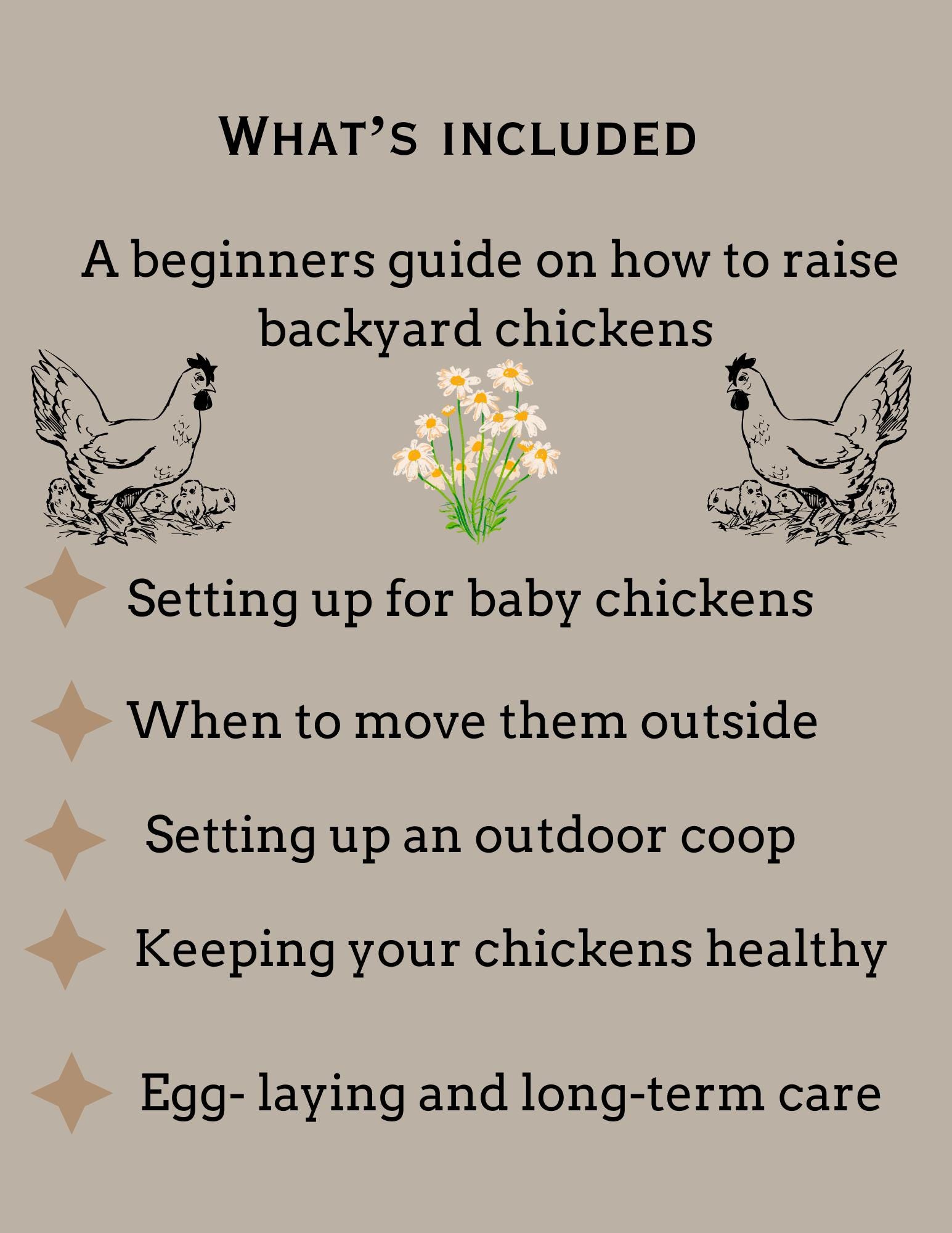 Backyard Chicken Guide, Raising Chickens - Etsy