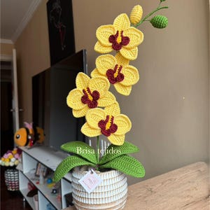 蘭の編み図（PDF、スペイン語）リアルな花の手編み（Brisa tejidos）