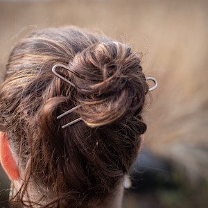 May include: A woman's brown hair is pulled back into a bun and held in place with two silver hair clips.