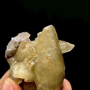 Può includere: Un gruppo di cristalli giallo pallido dall'aspetto traslucido. I cristalli hanno una superficie ruvida e strutturata e sono tenuti su uno sfondo nero. La formazione minerale ha una forma naturale e organica.