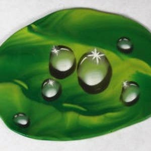 Puede incluir: Una hoja verde y amarilla con cinco gotas de agua sobre ella. Las gotas son transparentes y tienen un ligero brillo.