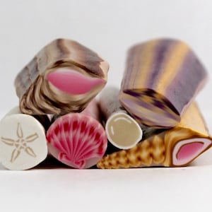 May include: Assortment of polymer clay canes with various sea-themed designs, including a starfish, seashell, and striped pattern. The canes are pink, brown, white, and purple.