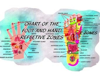Foot, Hand, Chart VECTOR