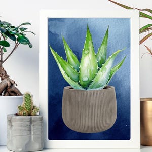 Watercolor Aloe Vera Plant Wall Art – Digital Download | Botanical Print for Home Decor