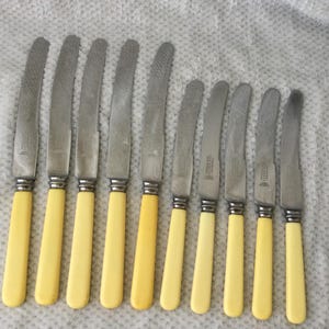 Vintage Premier Steinless Steel Knives - Faux Bone Handle - Set of 10