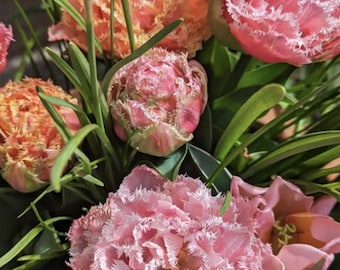 May include: A close-up of a bouquet of flowers featuring pink and peach tulips with fringed edges. Green leaves and stems surround the blooms. Some blue flowers are visible in the background.