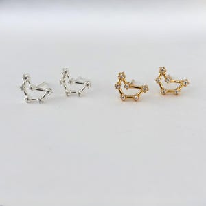 Constellation Studs, Zodiac Gold Earrings, Horoscope Jewelry for Birthday Gifts, Personalized Stud Earring, Earrings for Birthday