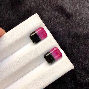 Può includere: Due pietre preziose a taglio rettangolare con un distinto gradiente bicolore. Ogni pietra passa da un nero profondo e opaco a un'estremità a un vibrante rosa magenta traslucido all'altra, mostrando una netta separazione dei colori.