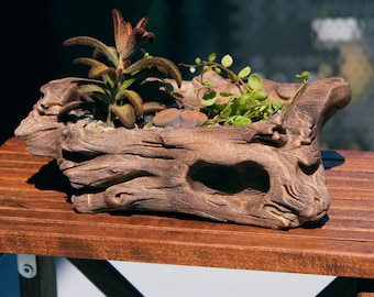 Rustic Woodland Planter – Unique Indoor Succulent, Cactus & Bonsai Plant Pot