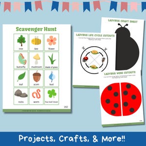 May include: A printable ladybug craft sheet with cutouts for the ladybug's body, wings, and life cycle stages. The sheet includes instructions to cut out the images and glue them onto the ladybug craft sheet.