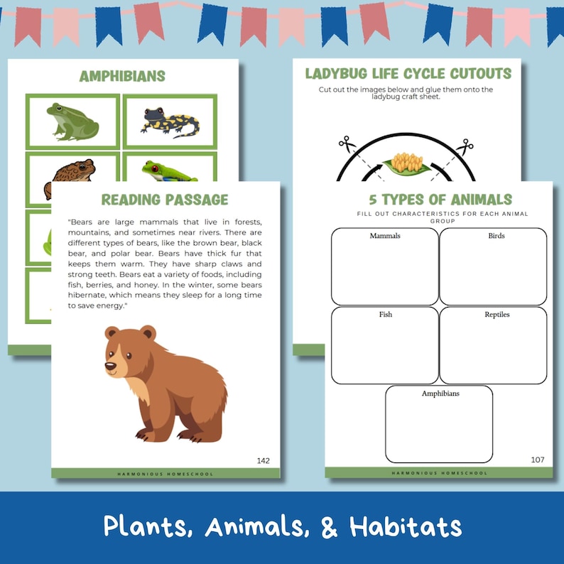 May include: A printable worksheet with a reading passage about bears, a chart to categorise animals, and a section on amphibians with images of a frog, a salamander, and a toad.