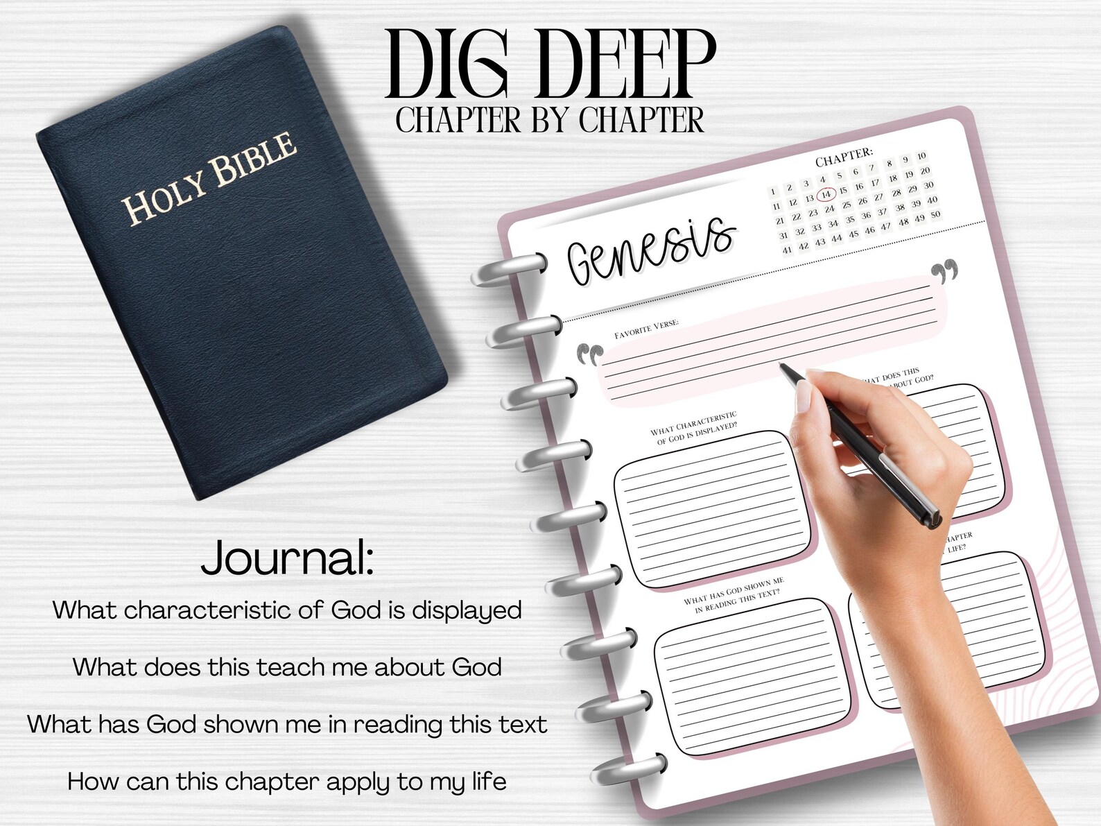 Genesis Bible Study Journal: Chapter-by-chapter Scripture Guide - Etsy