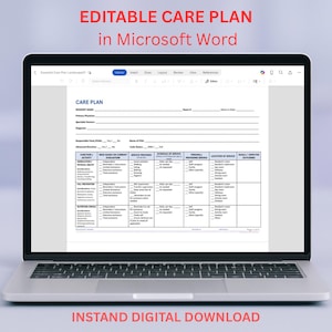 EDITABLE Comprehensive Care Plan Templete for Nursing Homes, ALFs, and Senior Homes Editable and Printable in Word.