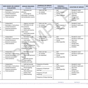 Care Plan Template for Nursing Home, Assisted Living, Printable PDF - Etsy