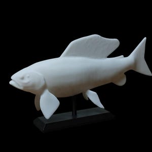 May include: White ceramic sculpture of a prehistoric fish on a black base. The fish has a long, slender body with a large dorsal fin and a small tail fin.