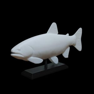 Rainbow Trout Fish Mount 6.5" - 13" - Rainbow Trout Replica - Paint Your Own - Fishing Decor