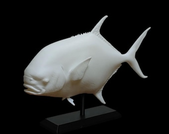 Permit Fish Mount 6.5" - 10" Mini - Nautical Decor - Eco-Friendly 3D Printed - Paint Your Own DIY Craft