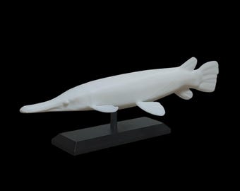 One Pound Alligator Gar Scales | Genuine Louisiana Prehistoric Fish Armor |  Craft Supply - Etsy