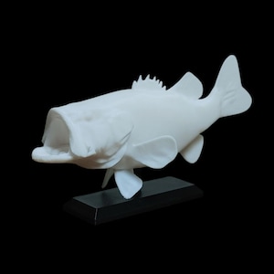 Large mouth Bass　壁掛け剥製 Reproduction Largemouth Bass Heads | Waters by Klaus