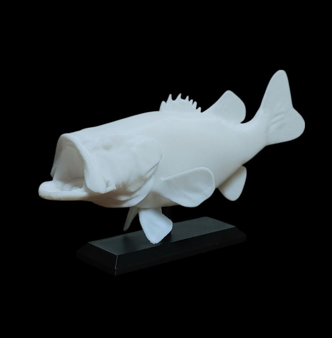 Large mouth Bass　壁掛け剥製 Large Bass Fish Wall Mount - Etsy